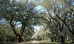 Richmond Plantation at Camp Low Countryconsists of 152.4 acres. There are 114.7 acres of highland; 34.8 acres of rice fields that are adjacent to the Cooper River and a 2.9 acre lake and only thirty-five miles from Charleston Harbor. This Plantation has