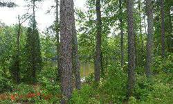 Motivated seller has drastically reduced the price by over $223,000 dollars. Great opportunity to purchase 14.45 wooded acreage off Lake Wheeler at Simpkins Road. Property can be accessed from the shared easement off Graedon Drive. 2300 + square foot pond
