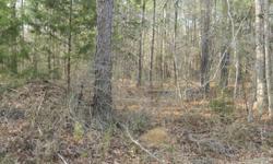 10 acres wooded land on Fair Rd in Ft Gaines, Ga This property is located within minutes of boat landing on Lake Eufaula, Alabama some of the best Bass Fishing in the World, 15 miles to Eufaula Alabama. and backs up to 180 acres of timber company land