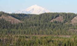 AWESOME Bluff View lot with easy access, power and phone nearby, Virgin land with Aspen and White Spruce, Gravel soils. 1 of the best locations in Copper Basin.