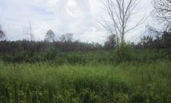 12 acres 2 side by side tracks of 6 acres each piece has its own id.. not cleared thin trees and palmettos zoned for res/comm. No rear neighbors. GET deal hard to find land..Located in Frostproof, Florida..email me or call me @ 863 307 2957