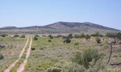Vacant land for sale by owner. 40 acres in Antelope Valley Ranches, Parcel 33, on beautiful Rte.66. Located one mile from Grand Canyon Caverns (same side of road) MM 114, Peach Springs, AZ. 65 miles E. of Kingman. Call Joe for more information.