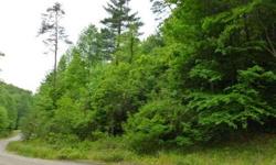 This 3 AC lot is located in beautiful eastern Madison Co. in a small, mature subdivision. Most of the lots are sold with quite a few homes built. This gently sloping lot is all trees at this point. Mountain views are available from the upper half.
Listing