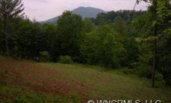 Looking for that perfect property to build you dream home or put up a modular home.. This is it!! This land has great views and driveway is in as well as a homesite is graded for you to come and build on. This land is located in a great location easy to