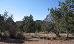 .37 Acre Lot ~ 100 x 163Nicely Wooded LotEasy To BuildLevel Lot Next To Nice HomeMinimal Traffic & Noise On Pinion Cir (Neighborhood Traffic Only)Only 25 Minutes From St George In The Cool, Quiet Mountains. Call Doug McKnight @ Coldwell Banker