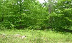 Wooded lot on 3/4 acre with central sewer and underground utilities. Non-gated community, lake, tennis, basketball courts. Close to many Pocono attractions and Lake Wallenpaupack. Minutes from I380, I80, I81, I84. Adjacent lot also available for same