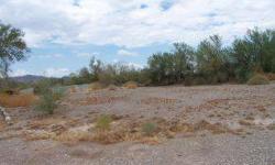 Over an acre lot with an RV Hookup. Plenty of room for additional parking. Easy access to Tyson Wash. Full price includes the 1990 38' three axel RV on the property.Listing originally posted at http
