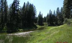 Skookum Creek meanders along the property line of this level timbered acreage. Mountain views on one side, creek views with a small meadow on the other and power is on the property.Deeded 60' easement access off a paved county road, great spot for a