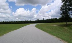 Palmetto Air Plantation is a beautiful afforable paradise located in central S Carolina. If you are tired of city traffic & all that goes with it, come see if PAP is right for you. A great get away spot. Offer underground utilities, a country setting,
