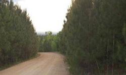 This 41.26 acre property is located on County Line Road nearby Graham Road in Candor, NC. The acreage features gated dirt road access, loblolly pines, and rolling topography. This would make a very affordable hunting property with the added bonus of