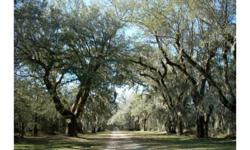 .Richmond Plantation at Camp Low Countryconsists of 152.4 acres. There are 114.7 acres of highland; 34.8 acres of rice fields that are adjacent to the Cooper River and a 2.9 acre lake and only thirty-five miles from Charleston Harbor. This Plantation has