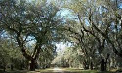 Richmond Plantation at Camp Low Country consists of 152.4 acres. There are 114.7 acres of highland; 34.8 acres of rice fields that are adjacent to the Cooper River and a 2.9 acre lake and only thirty-five miles from Charleston Harbor. This Plantation has