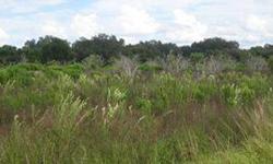 95.76 total acres in Osceola County, Florida - zoned "Agricultural". Re-zone and build. Conveniently located to major roads, i.e. US 192/E. Irlo Bronson Hwy and the Florida Turnpike. Close to schools, medical, shopping and restaurants. Three additional,