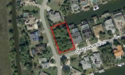 Bank approved Short Sale! Appraised at 55K in July 2012. Drive By, see this gorgeous Salt Water Canal lot. Build your Florida dream..................don't forget to bring the boat! SHORT SALE LENDER APPROVAL REQUIRED. Commision will be 50% of lender