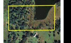 Beautiful 24.25 +/- acres. Great building site on hill with magnificent Live oaks and overlooking Bass stocked pond. Gated Community. Owner financing available with agreeable terms.