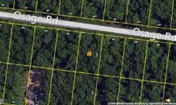 Own your spot on the Front Porch of Heaven with this lot in Lake Tansi Tennessee. Includes use of all association amenities - swimming pool, lakes, marina, beach, golf, exercise and much more. Come be a part of a growning community and sit a spell.Listing