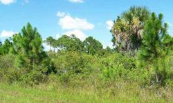 Beautiful lot on a very quiet street in Gulf Cove.Now is a perfect time to buy a lot for building your dream home or invest in the future.Convienent location and very close to the Myakka River.Needs scrub jay review.