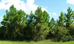 Beautiful lot on a very quiet street in Gulf Cove.Very close to Beaches ,Boating,Golfing , Shopping and the Myakka River.Build your Dream home on this Lovely lot or invest in the future.Needs scrub jay review.