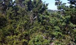 Beautiful views from 3.3 acres in Indian Springs, mature trees, quick drive from Interstate 10, close to Tapatio Springs - come enjoy the Hill Country