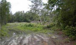 Large acreage for your home, horses, or hunting. Owner will consider selling 3 acre tract separately. New survey has been done to re-draw property lines giving wider access to property from Jutner. Plat will be available upon completion of platt and