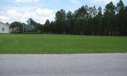 NICE LOT AT END OF DEAD END STREET. LEEWARD AIR RANCH IS A GATED SPORT AVIATION COMMUNITY WITH 6200 FT GRASS LIGHTED RUNWAY, COMMUNITY CENTER & NICE SOCIAL LIFE.
