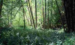 Beautiful Columbia River & Territorial Views from this 5 Acre Wooded property. Very private and secluded setting with abundant wildlife all around you. Adjacent 6 acre property is owned by Cowlitz County appears to be land locked and will never be built