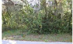 This .18 acre lot is located on a paved road. Perfect for investment, home, mobile home or rental. Adjacent lot is available (same seller) to create a unique expansive home site or package sale.
