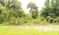 Beautiful lot ,close to Beaches, Boating ,Shopping,Golfing and Medical Facilities