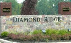 Welcome to Diamond Ridge! A new W.E.L. Development in Franklin Twp. This gated community is tranquil, yet close to all that Indy has to offer! Homes starting in the $500's + Lot. Strict architectural control to ensure the most quality neighborhood.