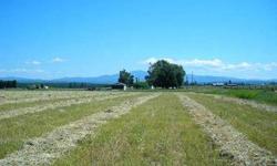 360 degree Views including Mount Spokane from this level 10 acres currently in alfalfa/ grass. 2 minutes from Hwy 395 and 15 minutes to the "Y". Power, Phone and gas at the road!Listing originally posted at http