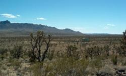 Item #B32708-044 This is a 20 Acre Parcel in Dolan Springs, AZ, Beautiful mountain views and plenty of priacy. Power, driveway and building pad already in, ready for you to start your home and project. $1,000.00 Down and $606.00 per month. Guaranteed