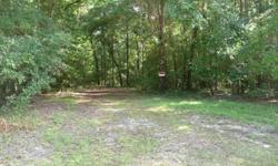 Vacant LotBeautiful privacy and quick walk to Oleno State Park Boat Ram. Approximately 200 wide and well over 400 deep. Heavy with large magnificent trees between 40-60 ft. tall. Electricity in the Street. There is a capped well.Priced to Sell