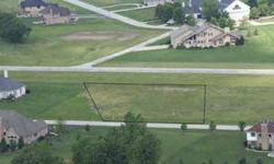 Attention all investors and pilots!! Almost 1 acre lot in the prestigious gated air park community of Meadow Creek. This homesite is right on the runway & is surrounded by magnificent homes. Enjoy the convenience of your own attached hanger for your