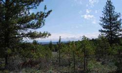 Beautiful 20 acres with building site and big panoramic views. This acreage also has lots of trees and is close to the new Union Valley Fire Station. Electiricity is on property. Buyer will have to pay hook up fees.
Listing originally posted at http