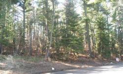 Shagawa Pines Water Access Lots! A total of three water acces lots available. The lots range in price from 80,000 - $115,000 some even with direct water views! Beautiful towering pines and what's even better ? City Sewer & water avaiable! Electricity too!