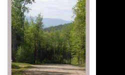 Gorgeous view lot. This great property sits at the very top of Maple Heights with wonderful northern eastern exposure, ideal for capturing the local views. It's fantastic location is close to local amenities such as skiing, golf, hiking and fishing, and