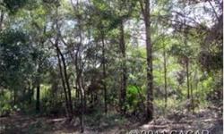 WELL PRICED building lot convenient to Gainesville. Invest today!
Bedrooms: 0
Full Bathrooms: 0
Half Bathrooms: 0
Lot Size: 0 acres
Type: Land
County: Gilchrist
Year Built: 0
Status: --
Subdivision: Waccasassa Campsites
Area: --
Restrictions: Deed