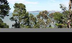 Beautiful Lot with Bay & Bridge Views! Build your dream home on this 1/2 acre (+/-) lot with Bay & Bridge views! Located in a private, peaceful and serene location. Great neighborhood -close in location just around corner from Trestle Glen -Rare find with