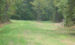 This 476 acre property is located just north of Winnsboro off of Highway 321. This is a beautiful tract with mixed pines and hardwoods, a bold creek, open areas, county road frontage, and rolling topography. There is an excellent internal road system with