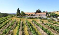 Lovely upgraded home with guest apartment all on one level. Kitchen remodel includes Corian counters, tile flooring, Wolfe range and more. 4 Acres of grapes in Cab Franc, Syrah, Zinfandel. Location is right on the main "Wine Trail" of the areaa surrounded
