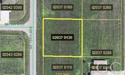 Great price on a Triple lot in the fast growing NE Cape. This is a really convenient location, about a half mile away from Del Prado/Pine Island road intersection. Closing to many new retail stores and restaurants off Pine Island Road. Perfect time to