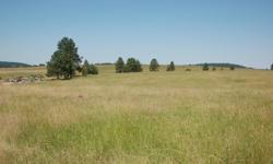 63.5 Acres of country acreage close to Winchester with views. Property has easy year round access and is partially fenced. Currently in hay. Would make an ideal horse or cattle ranch. Property also includes a gravel pit. Mined gravel is not included but