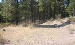 Wooded 5+ acre parcel with building site and road already done. Perk test completed. Close to State Park and Alpenhorn Drive-In. Park your RV while you build.Listing originally posted at http