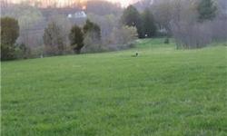 Beautiful open lot on country road with majestic views of Sugarloaf Mountain, easy access to 270 and adjoining productive farmland. This is a great opportunity to put down roots in a rural utopia and build your dream home (4 bedroom perc and 1 gpm well)