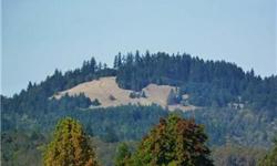Once in a Lifetime Opportunity. Build your home on one of Corvallis' most notable landmarks. Breathtaking Views of the entire Valley and the Cascades on 160 Acres of Privacy. Property is Dimple Hill and surrounding acreage. Listing office has Aerial Photo