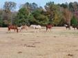 $595,000
37 acre Horse Farm in Columbia, SC